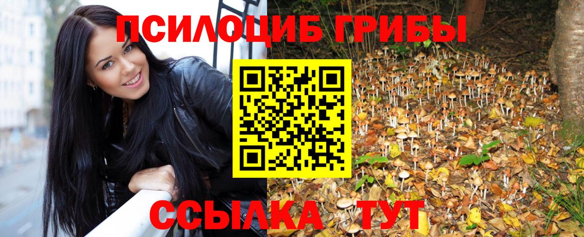 Удомля  Псилоцибиновые грибы Cubensis  Псилоцибиновые грибы Psilocybe  Вход с VPN 
